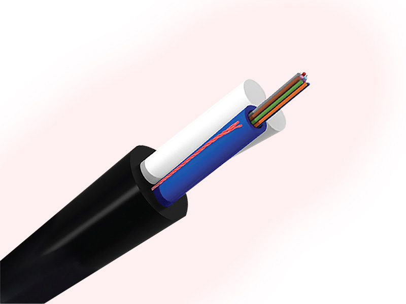 asu cable–80M